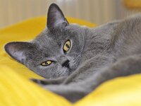 DSC0022.16-10