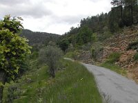 DSCN0235
