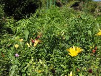 DSC0109