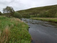 DSC 1657