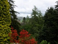 DSC 1760