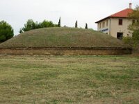 DSC 3102