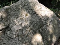 DSC0057