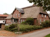 DSC 4440