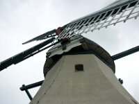 DSC 4453