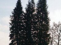 B0029124