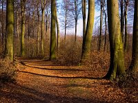DSC 0021 bearbeitet-1.16-10