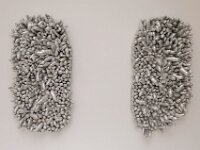 DSC1311
